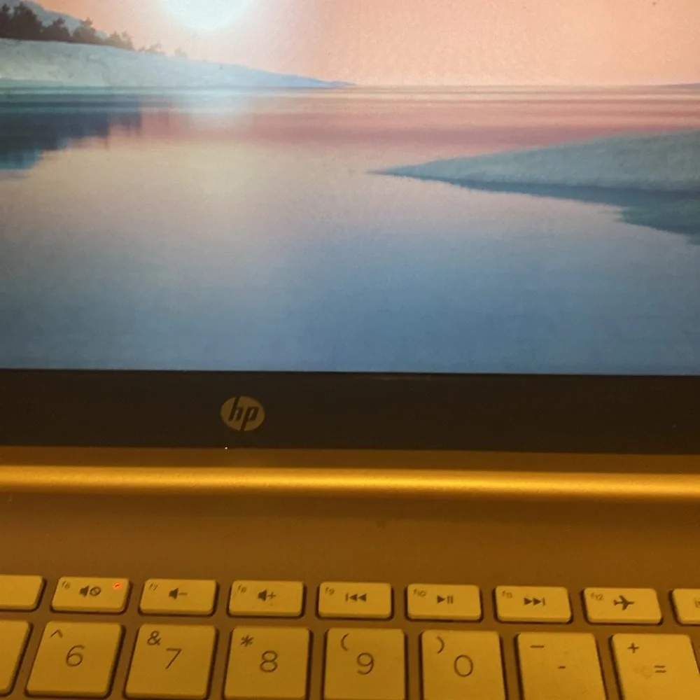 HP GOLD 14 inc COMPUTER .